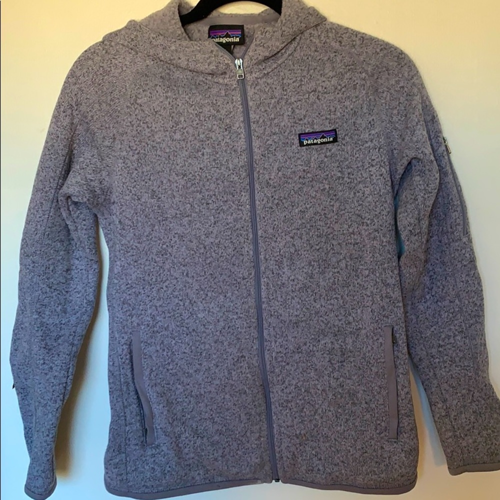 Patagonia hooded fleece zip up